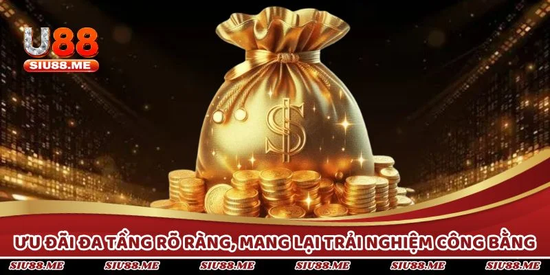 Ưu đãi đa tầng rõ ràng, mang lại trải nghiệm công bằng và hấp dẫn